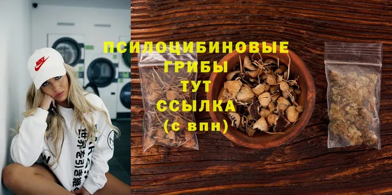 где купить наркоту  Камбарка  Галлюциногенные грибы Cubensis 